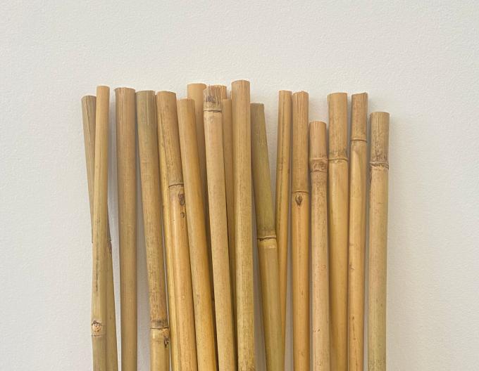 6mm-30mm Diameter Eco-Friendly Bamboo Stakes for Sustainable Gardening 1
