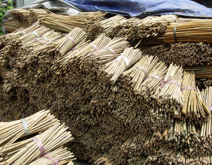 6mm-30mm Diameter Eco-Friendly Bamboo Stakes for Sustainable Gardening 3