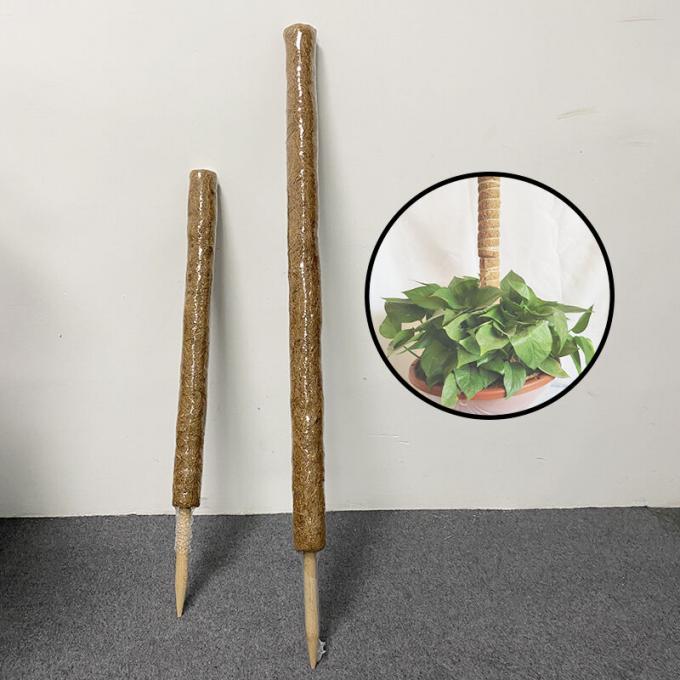Stackable Moss Pole Monstera Plant Support , Plant Stakes For  Indoor 2
