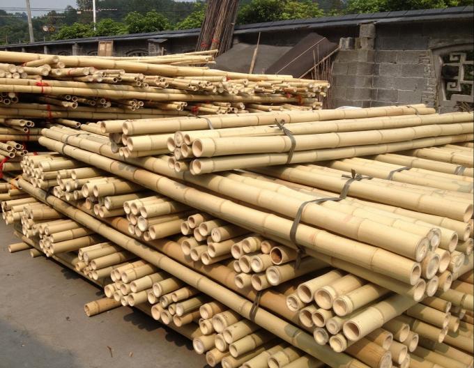 Strong Bamboo Pole Perfect for DIY Projects , Supports and Decor 0