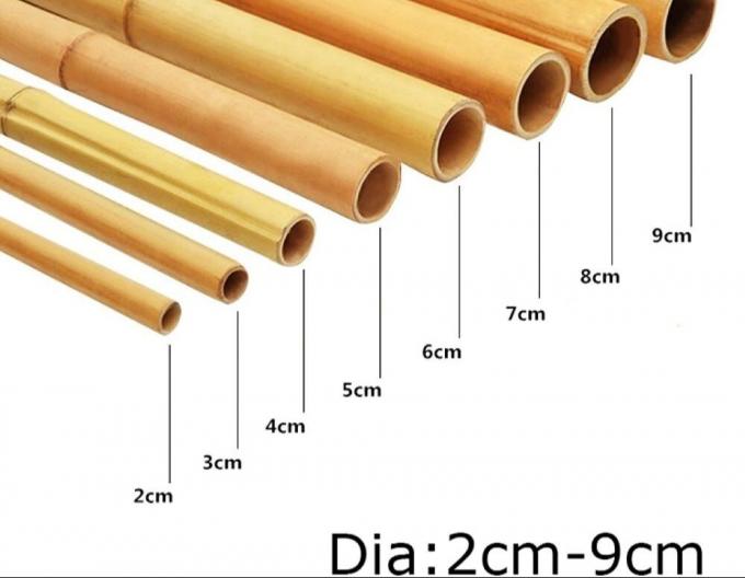 Strong Bamboo Pole Perfect for DIY Projects , Supports and Decor 1