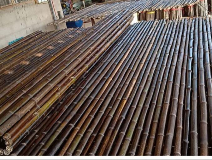 Carbonized Black Natural Bamboo Pole Fence Panels Roll for Outdoor Decoration Garden Agriculture 1