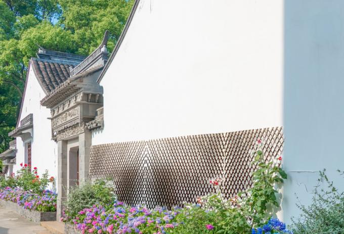 Natural Willow Branches for Backdrop and Privacy Solution 3