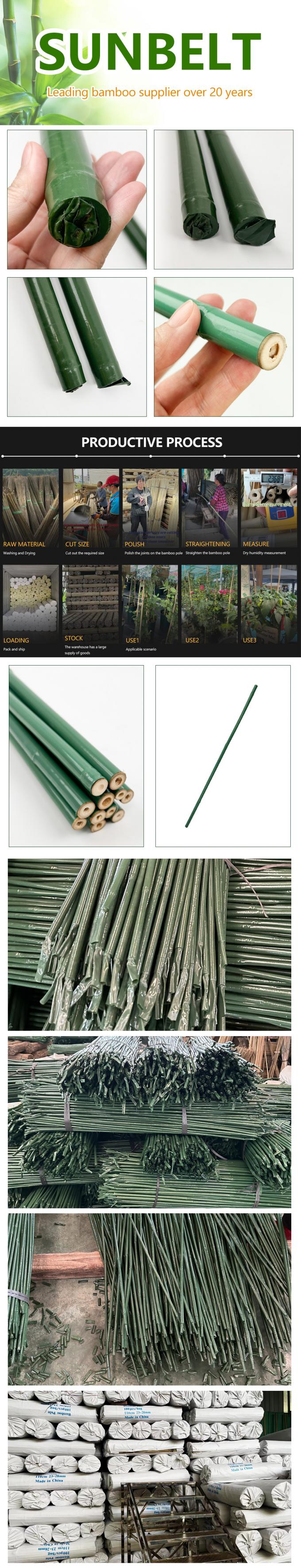 Green Plastic Coated Bamboo Plant Stakes for Tomato , Plant and Garden 0