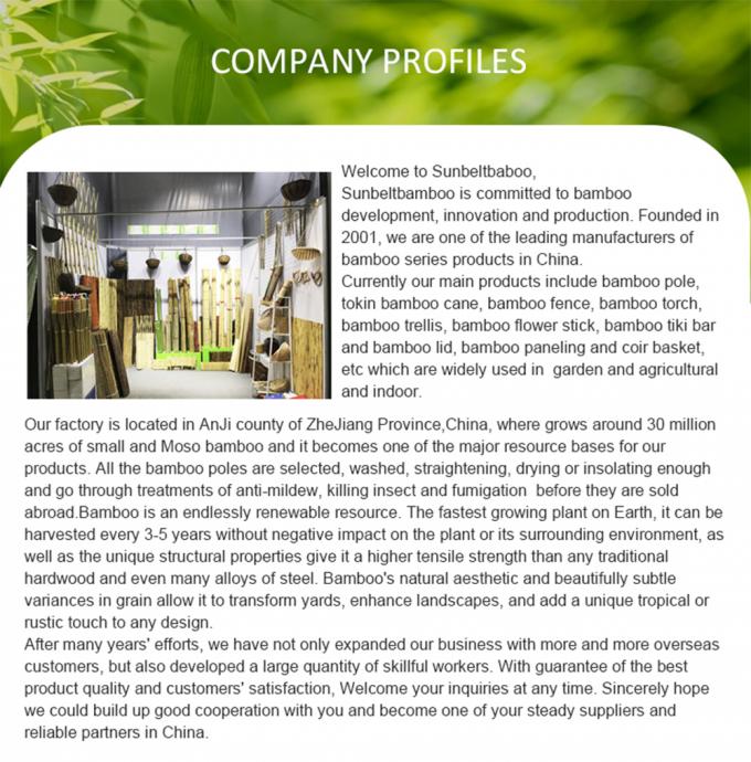 Green Plastic Coated Bamboo Plant Stakes for Tomato , Plant and Garden 1