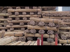 Factory Introduction Of Sunbelt Bamboo