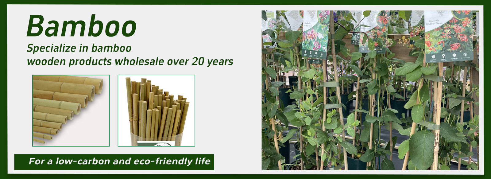 Natural Bamboo Plant Support Stakes for Indoor Plants, Bamboo Sticks Poles Garden Bamboo Stake 40cm 595cm