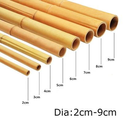 Garden Plant Decoration Raw Bamboo Poles Natural Tonkin Bamboo Poles