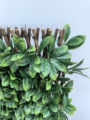 Weatherproof Greenery Privacy Fence No Rotting Flame Retardant for Added Safety