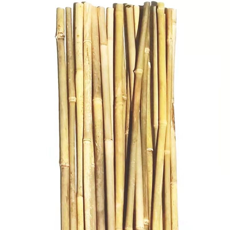250cm Raw Bamboo Poles Bamboo Stakes For Decoration Plant