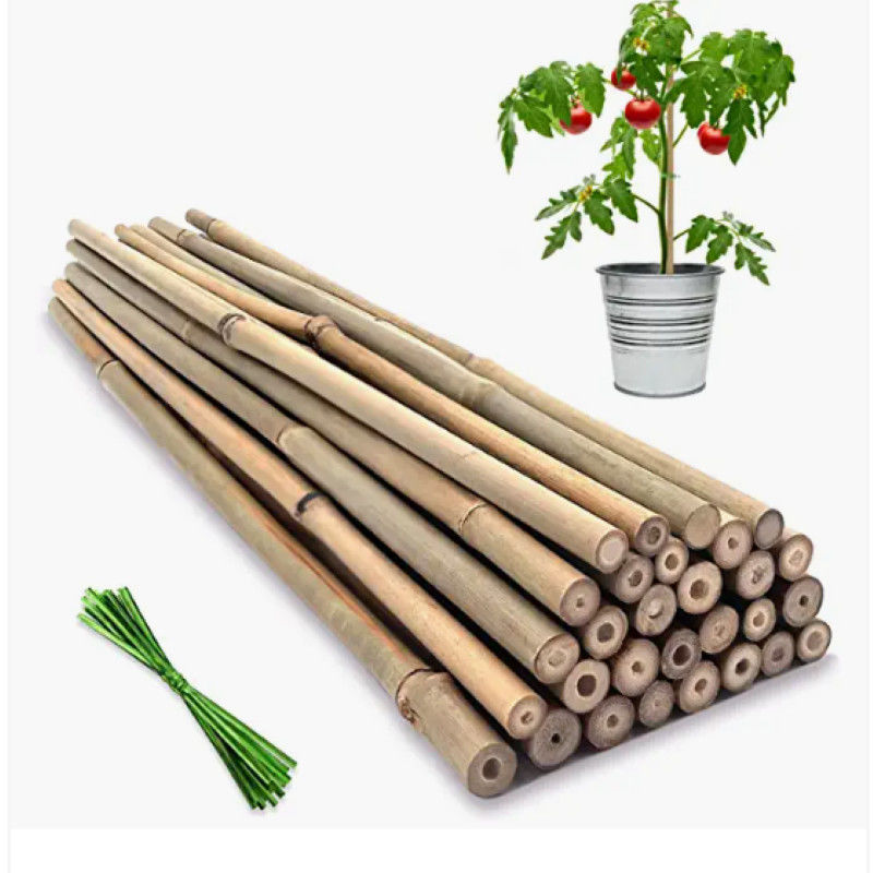 Moso Row Bamboo Poles Canes Stakes Sticks Farming Support Gardening