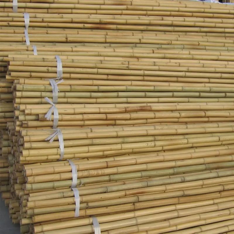 Tree Rods Natural Bamboo Garden Stakes Rods Garden Sticks Bamboo Plant Stakes for Beans ...