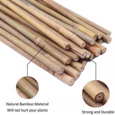 Natural Bamboo Plant Support Stakes for Indoor Plants, Bamboo Sticks Poles Garden Bamboo Stake 40cm 595cm