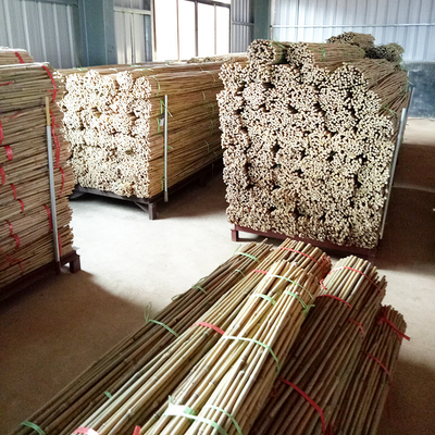 250cm Raw Bamboo Poles Bamboo Stakes For Decoration Plant