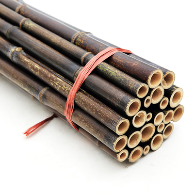 Garden Plant Decoration Raw Bamboo Poles Natural Tonkin Bamboo Poles