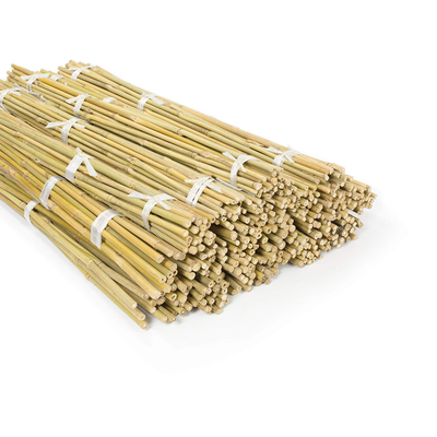 Garden Furniture Natural Bamboo Stakes Raw Bamboo Poles 40cm To 500cm Height