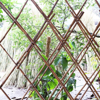 Garden Furniture Natural Bamboo Stakes Raw Bamboo Poles 40cm To 500cm Height