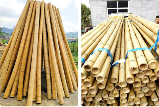 250cm Raw Bamboo Poles Bamboo Stakes For Decoration Plant