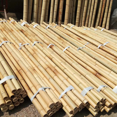Natural Garden Bamboo Sticks For Indoor Outdoor Tomatoes Potted Plants Support Stakes