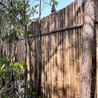 150cm Nature Colored Decorative Bamboo Fence For Garden Backyard Border