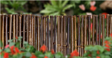 180cm 240cm Rolled Bamboo Fencing For Garden Border Nursery