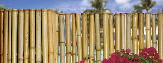 180cm 240cm Rolled Bamboo Fencing For Garden Border Nursery