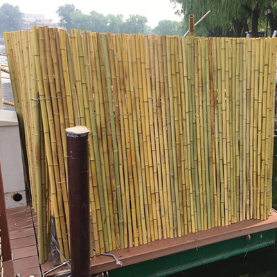Backyard Decorative Bamboo Fence Tonkin Bamboo 1.5m Outdoor Garden Fence
