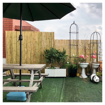 Backyard Decorative Bamboo Fence Tonkin Bamboo 1.5m Outdoor Garden Fence