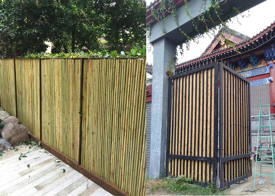 Home Rolled Bamboo Screen Fencing Backyard Garden Decorative Bamboo Paneling