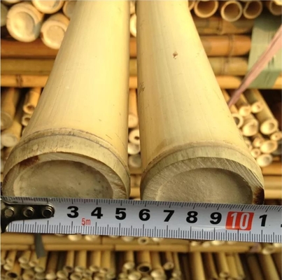 Eco Friendly 3 Inch Moso Bamboo Pole Bamboo Stakes For Plant Decoration Yellow