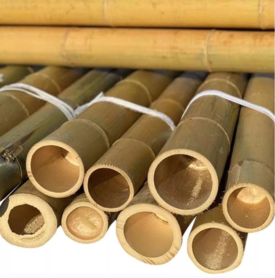 Custom Size Pure Natural Moso Dry Bamboo Pole Solid Moso Bamboo Poles For Construction Or Decoration