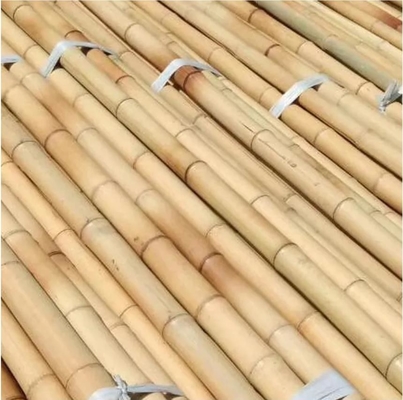 Nature Raw Bamboo Straight Bamboo Poles For Garden Farm Plant Support Building