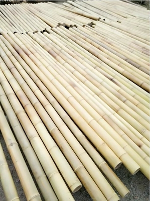 Nature Raw Bamboo Straight Bamboo Poles For Garden Farm Plant Support Building
