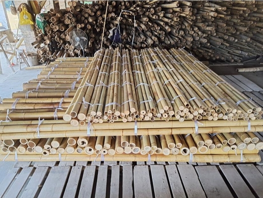 18mm To 160mm Diameter Bamboo Cane Moso Bamboo Pole Construction Agriculture