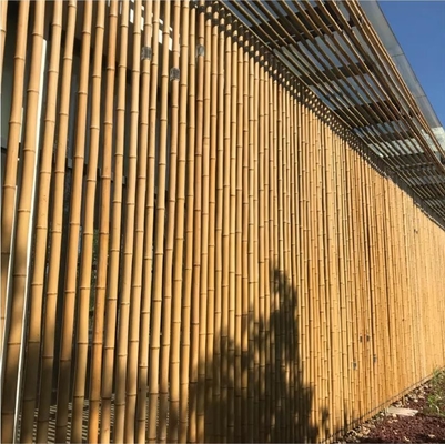 18mm To 160mm Diameter Bamboo Cane Moso Bamboo Pole Construction Agriculture