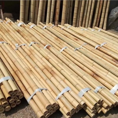 Natural Raw Moso Bamboo Poles 2cm 3cm 4cm 5cm 6cm 8cm 10cm Diameter