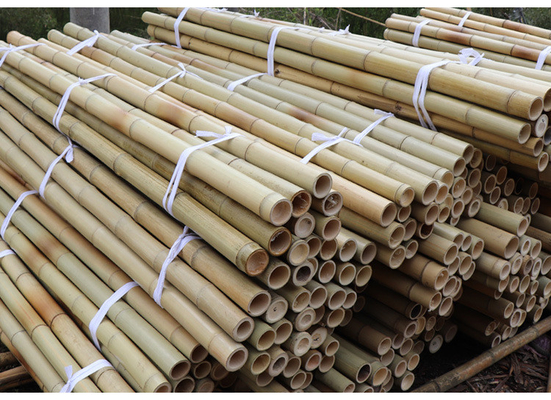 Garden Furniture Natural  Bamboo Poles Stakes Straight For Garden Plant Length 16cm