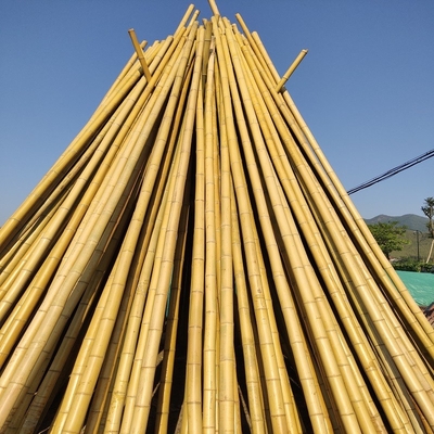 100% Natural Raw 240cm Bamboo Pole Building Deoration 60cm To 595cm