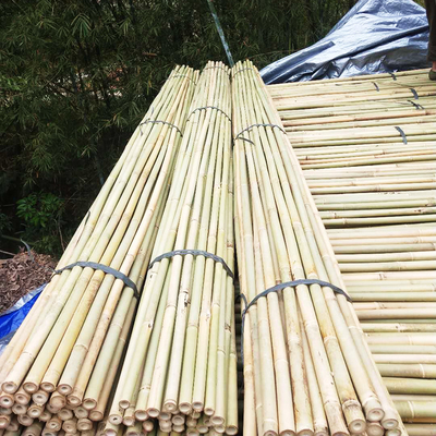 Natural Garden Bamboo Sticks For Indoor Outdoor Tomatoes Potted Plants Support Stakes