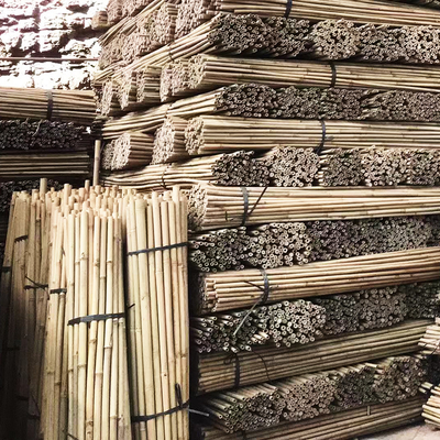 Natural Garden Bamboo Sticks For Indoor Outdoor Tomatoes Potted Plants Support Stakes