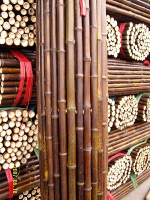 120cm Raw Bamboo Pole