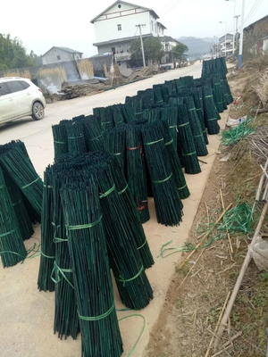 150cm Raw Bamboo Poles Painting Green Red Black Decorative Bamboo Garden Stakes
