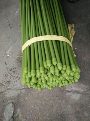 40cm 60cm 90cm 120cm Length Green Bamboo Poles Painting Green
