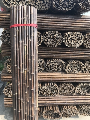 120cm Raw Bamboo Pole
