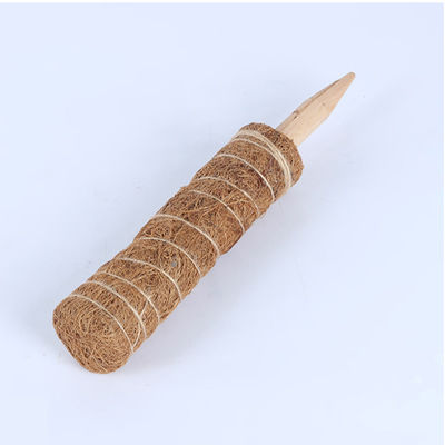 Moss Pole for Climbing Plants - 30cm, 40cm, 60cm, 90cm Natural Coconut Coir Totem | Support Stake