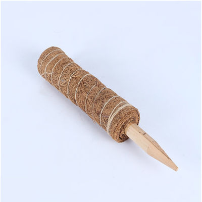 Moss Pole for Climbing Plants - 30cm, 40cm, 60cm, 90cm Natural Coconut Coir Totem | Support Stake