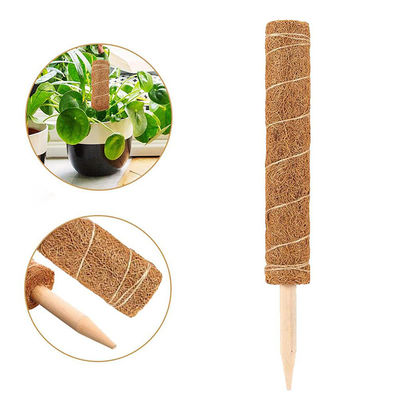 Moss Pole for Climbing Plants - 30cm, 40cm, 60cm, 90cm Natural Coconut Coir Totem | Support Stake