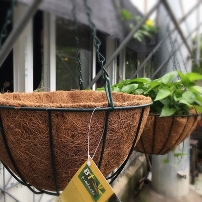 Garden Decoration Metal Hanging Planter Basket With Coco Coir Coco Liner