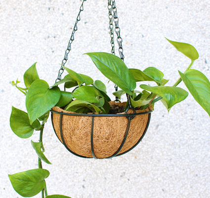 Garden Decoration Metal Hanging Planter Basket With Coco Coir Coco Liner