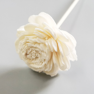 Home Fragrance Preserved Reed Diffuse Dried Sola Flower Reed Diffuser with Cotton Wick